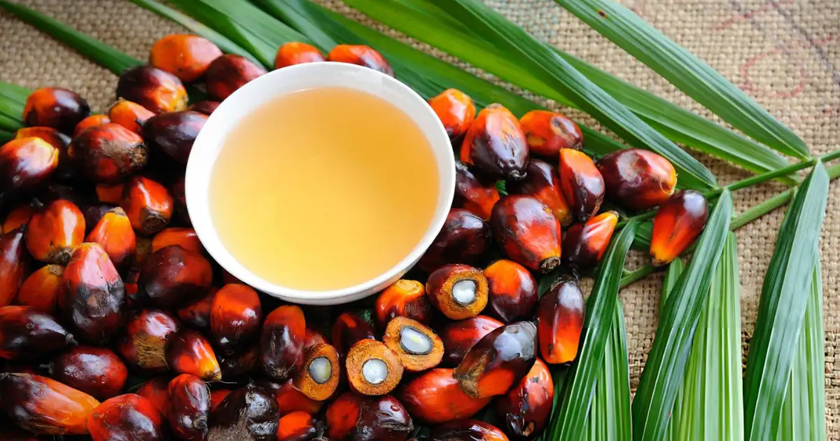 Huile de palme brute rouge et savon noir Nigeria Naija Store — ingrédients naturels pour une peau nourrie